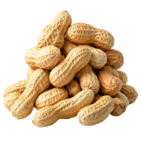 Yer Fistigi Naxçıvan, 1 kg