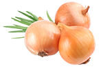 Sogan Teze, 1 kg