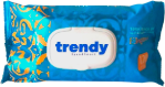Trendy Elegance Nem Salfet, 120 ədəd